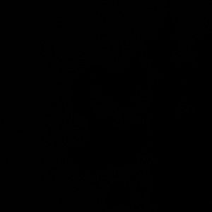 Meet your Posher, Graciela